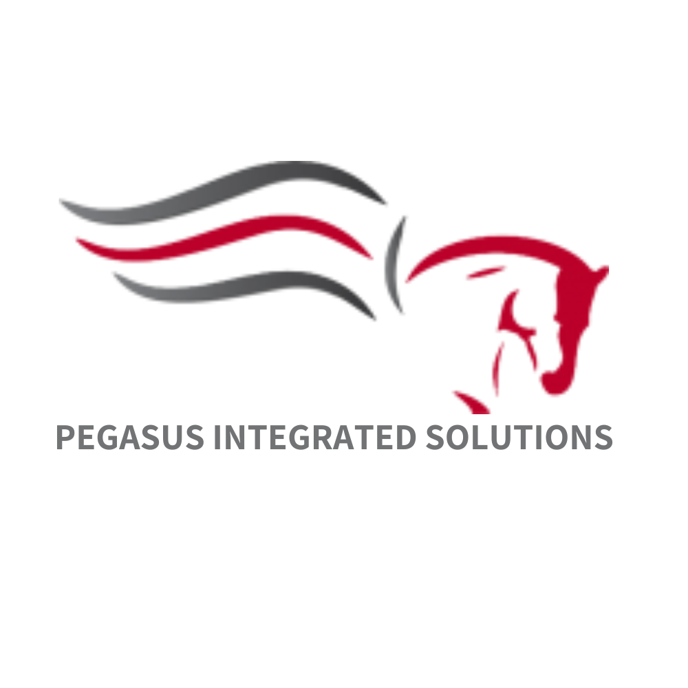 לוגו לקוח Pegasus Integrated Solutions