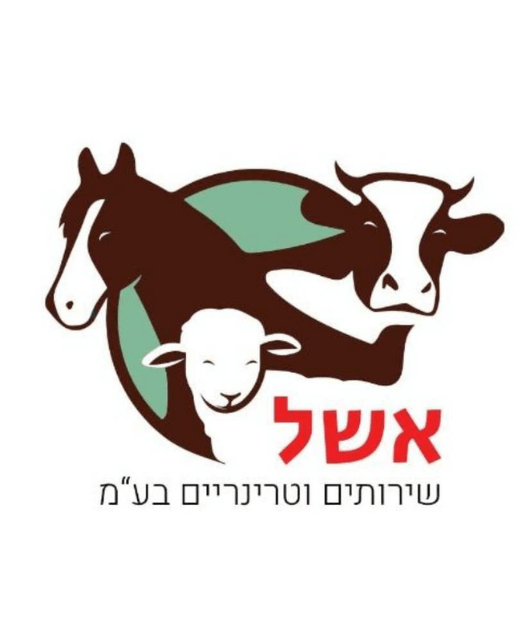 לקוחות נבחרים: אשל שירותים וטרינריים. פעילות איקומרס: ייעוץ איקומרס, פייסבוק ממומן, גוגל PPC, דיוור