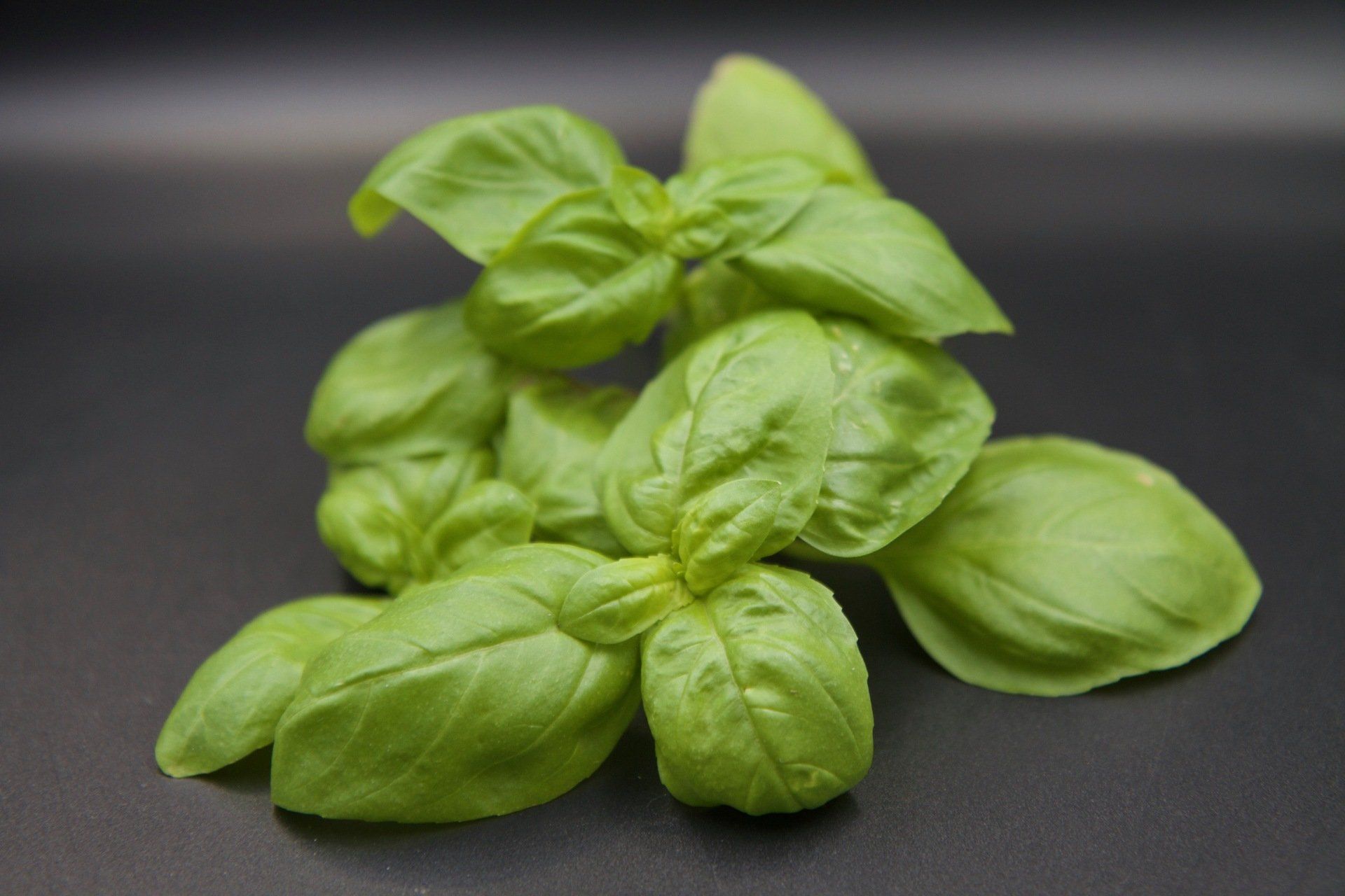 VasThai - Basil
