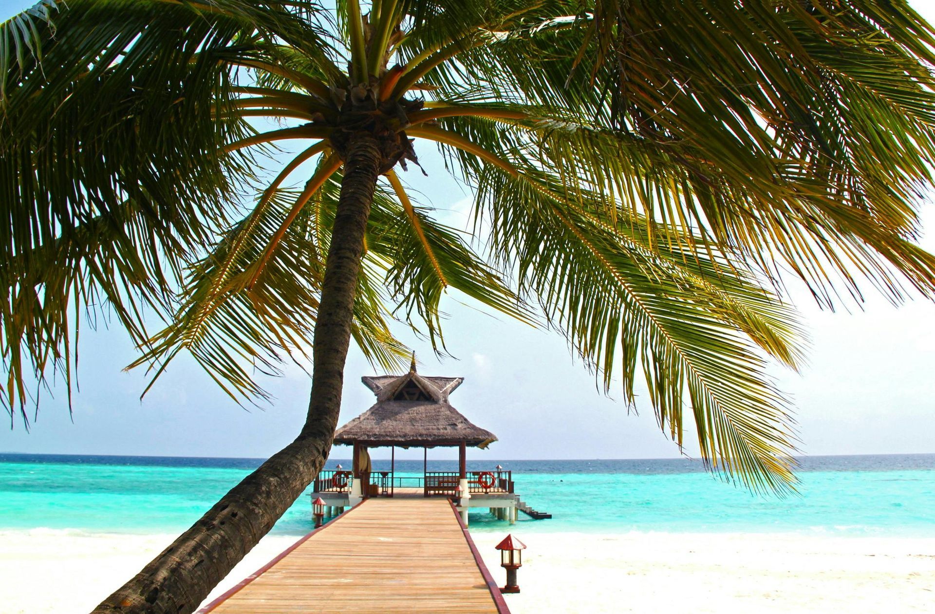 Palmera sobre un muelle que conduce a un mirador en una playa de arena blanca con agua turquesa.