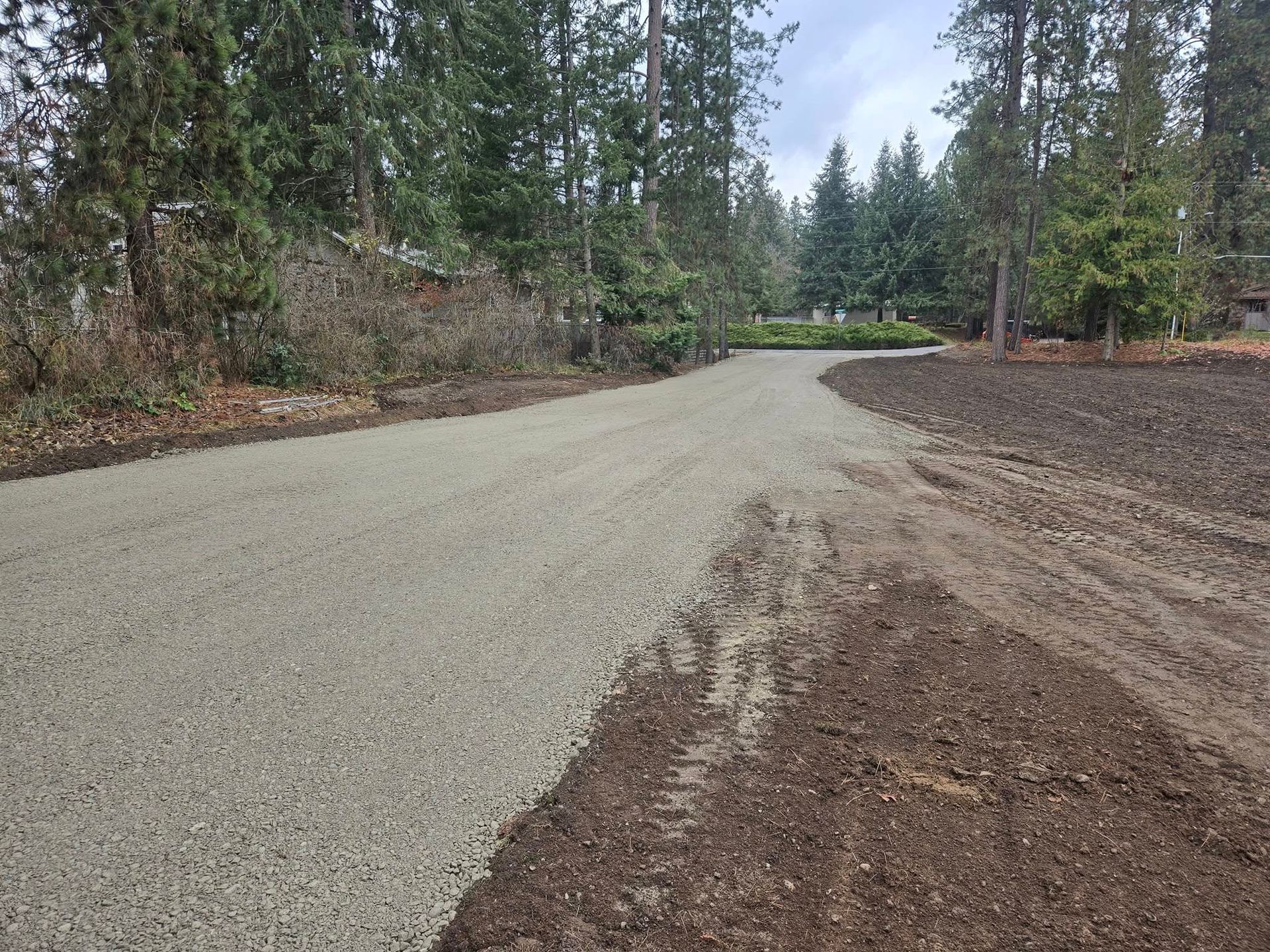 Gravel driveway curves through a wooded area. Dark soil borders the gravel. Overcast sky.