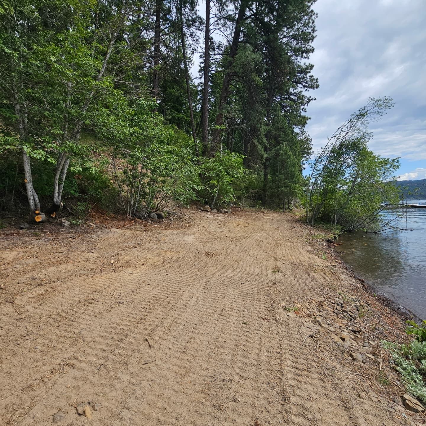 Dirt path along a lake, leading to trees. Sunny day.