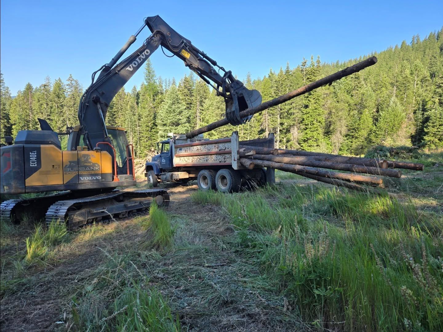 An excavator loading logs into a truck in a wooded area.