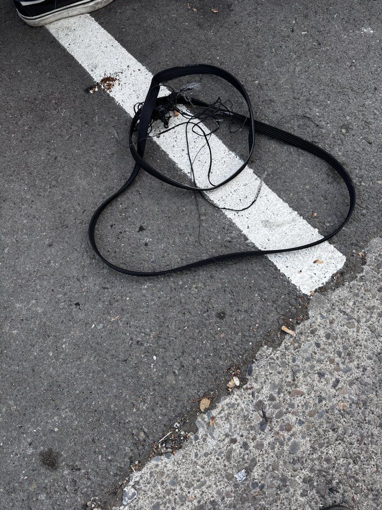 A black belt is laying on the ground next to a white line.