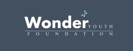 Wonder Youth Foundation. A national dance organization.   Is a 501(c)(3) public charity foundation.