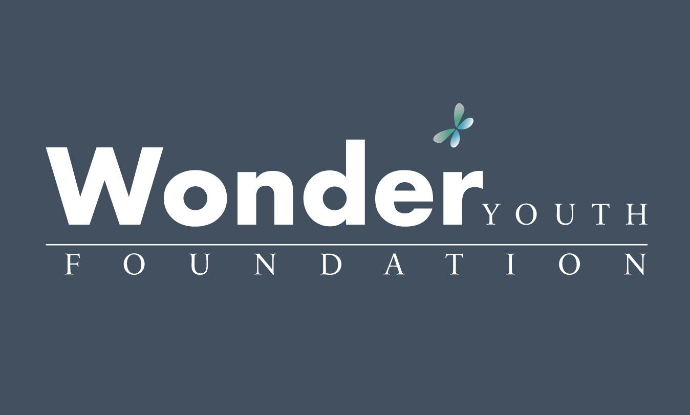 Wonder Youth Foundation. A national dance organization.   Is a 501(c)(3) public charity foundation.
