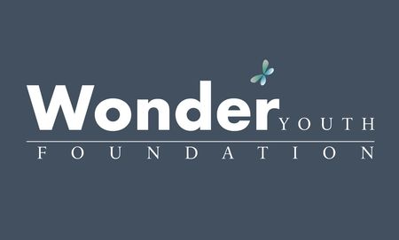 Wonder Youth Foundation. A national dance organization.   Is a 501(c)(3) public charity foundation.