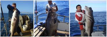 Full-Day Ranfurly Banks Fishing Tour - Private Charter