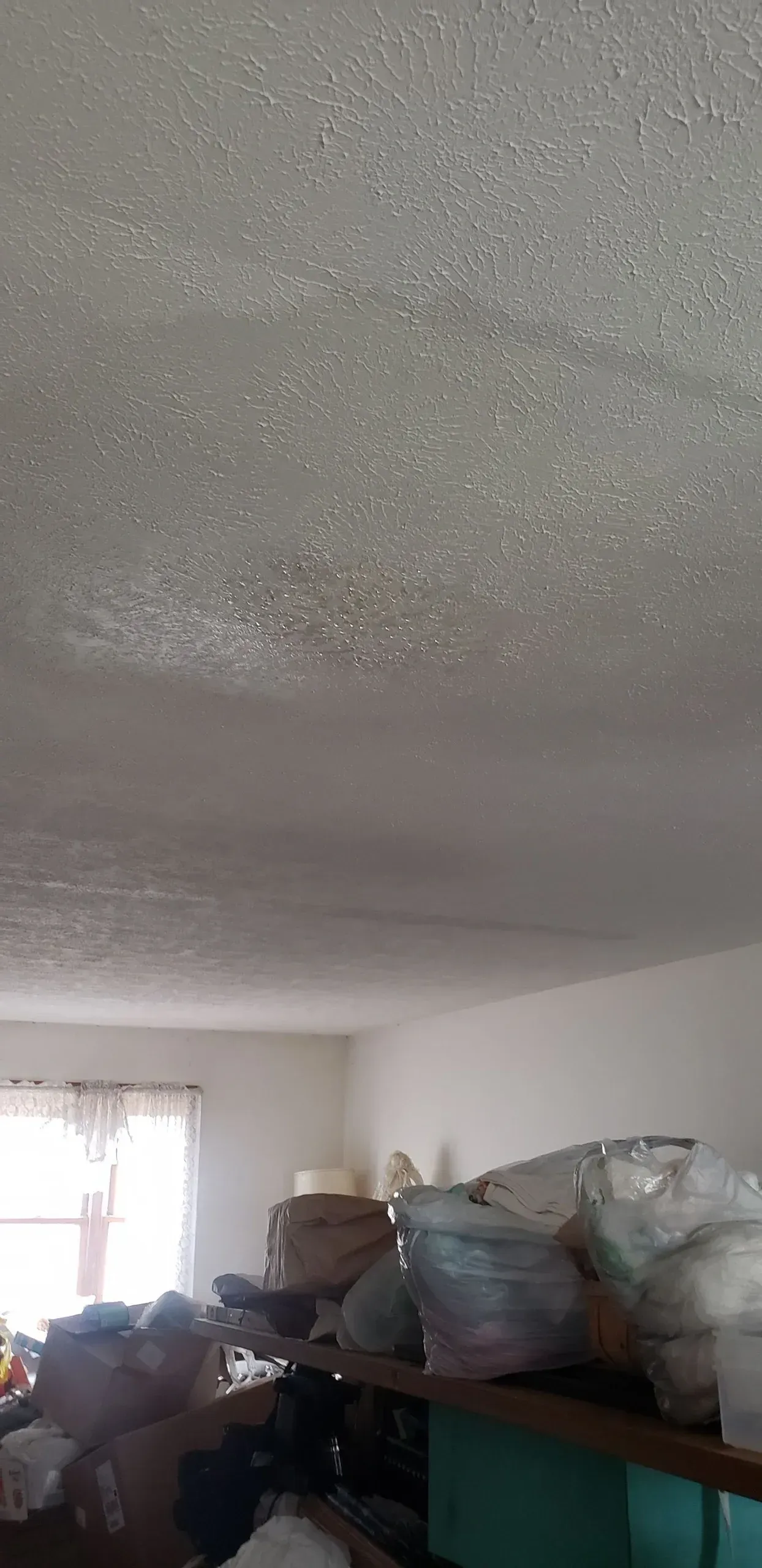 Storm Damage Restoration | Farmer City, IL | Emergency Flood Services