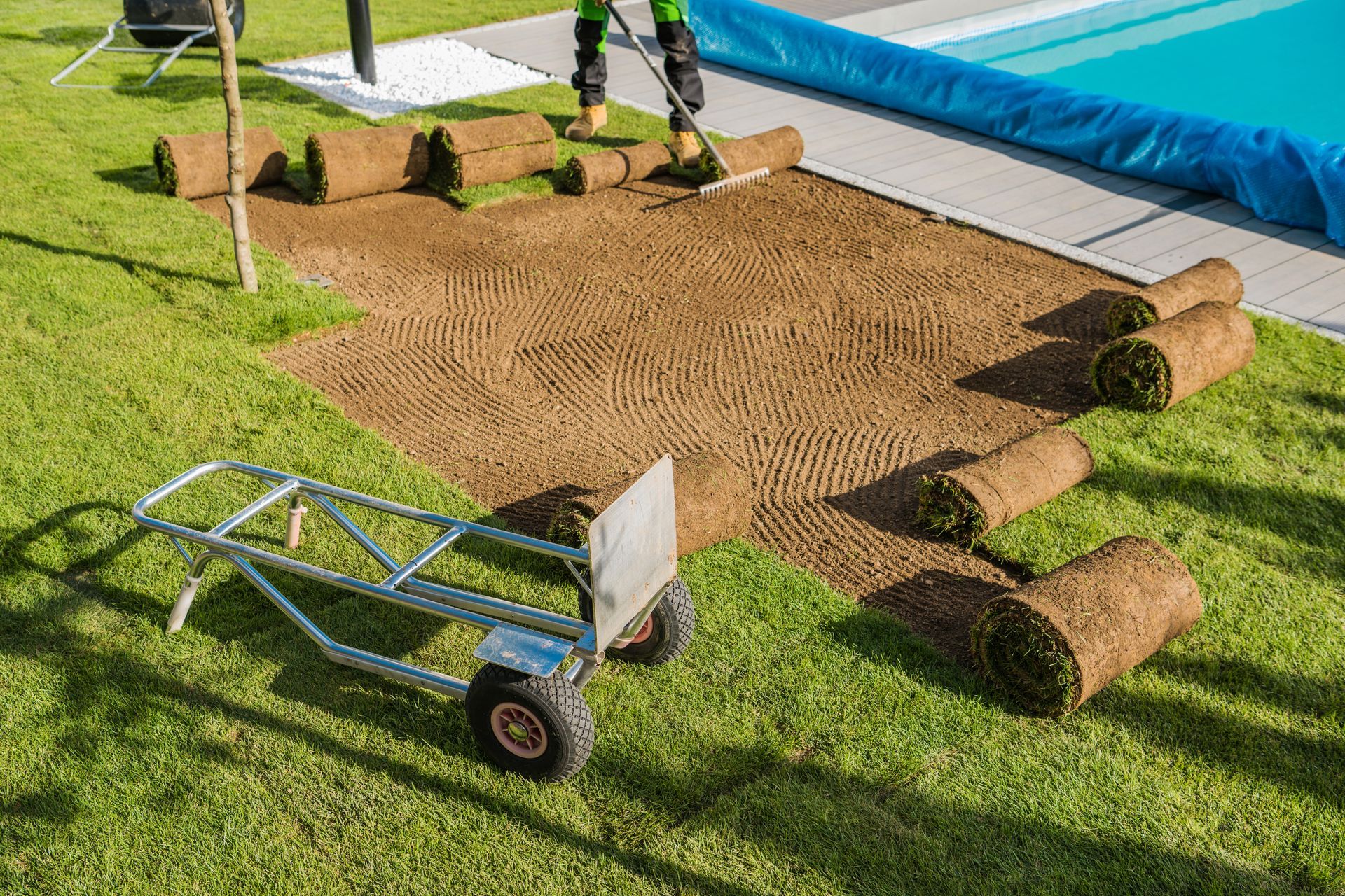 Lawn installation in progress with rolled sod, tools, and workers beside a blue pool cover