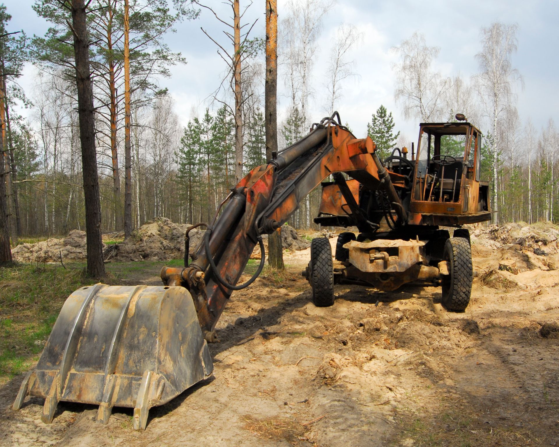 Orange excavator on muddy forest site, bucket lowered among trees and dirt.