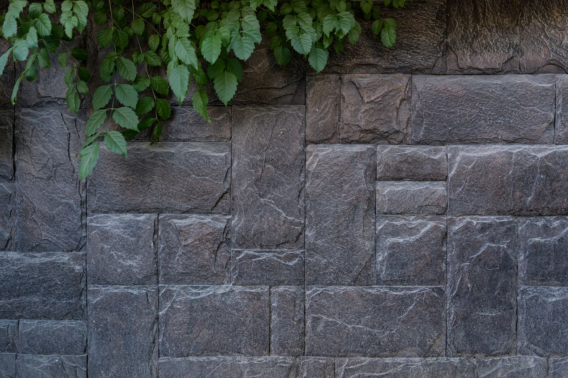 Stone wall with varying rectangular blocks, with green leaves in the upper left corner.