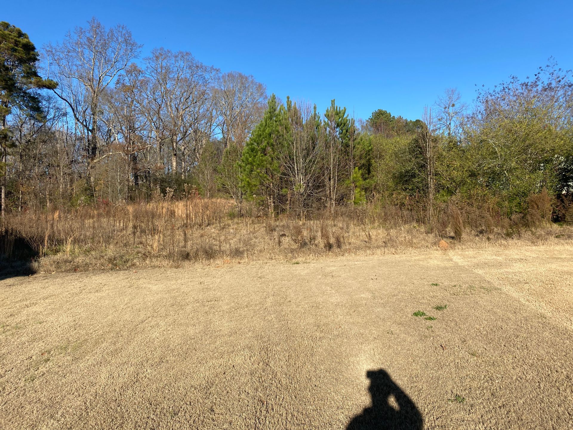 A person is standing in a field with trees in the background.