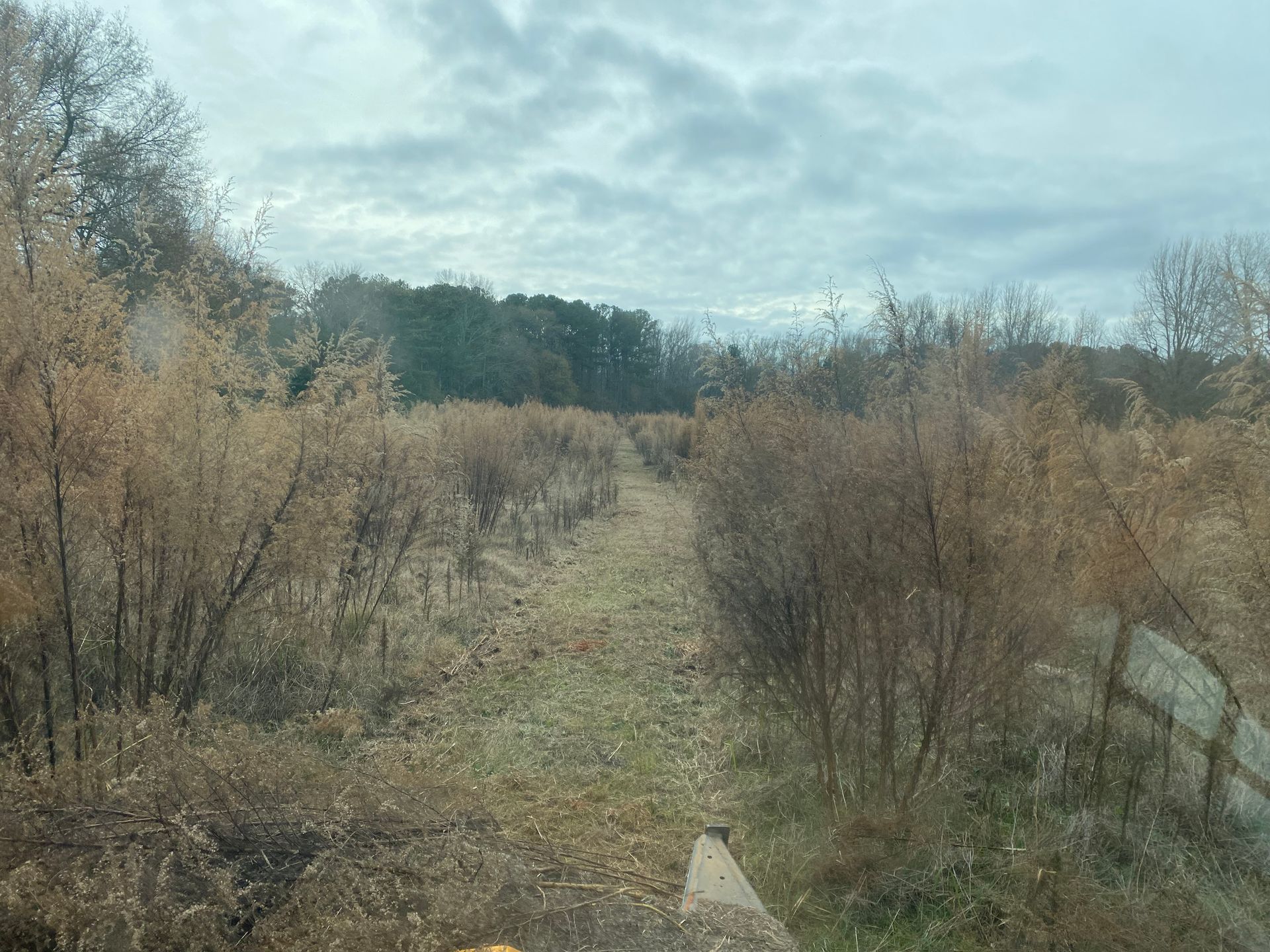 A dirt road going through a field with trees in the background.