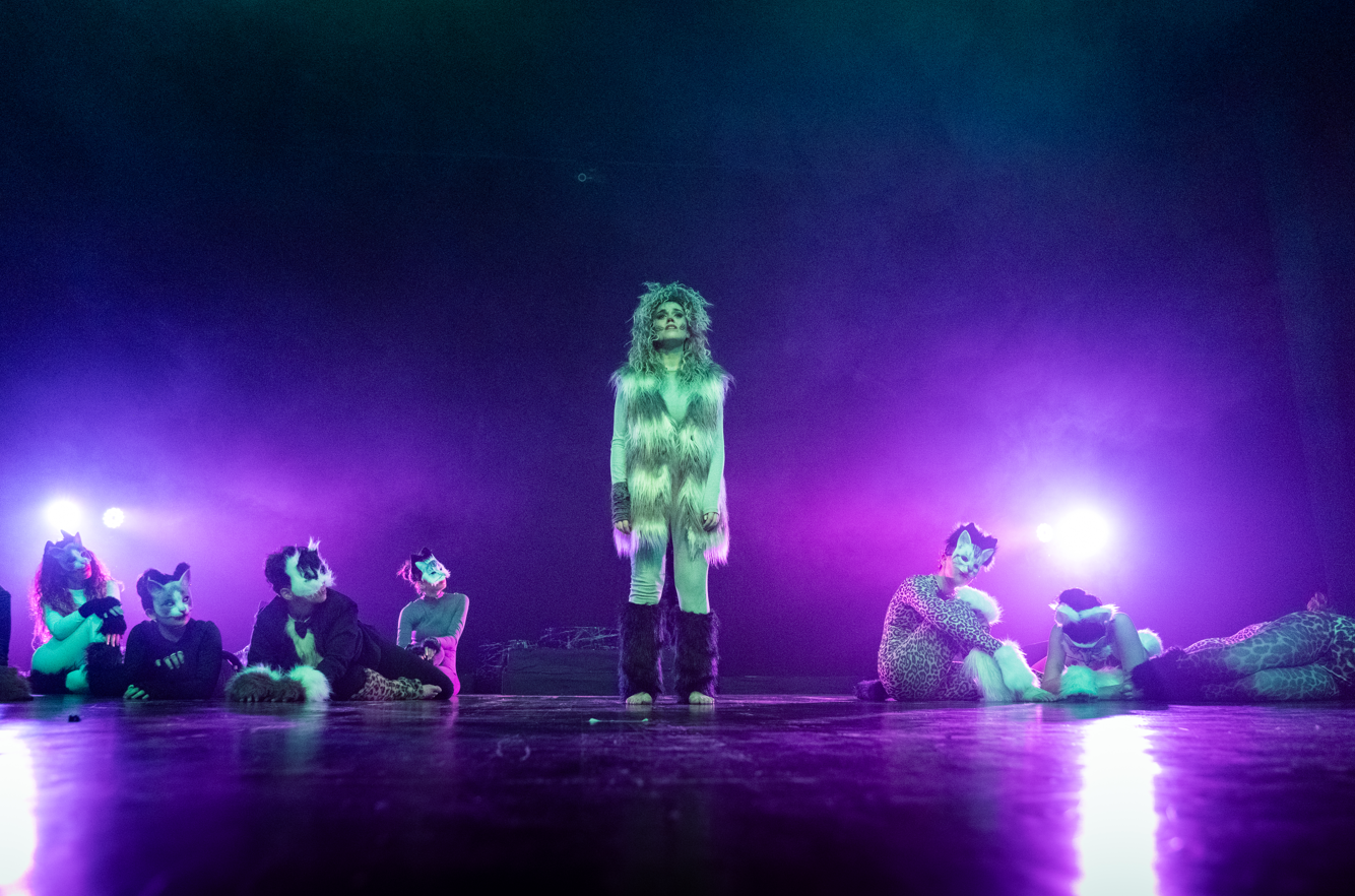 Spettacolo scuola di danza