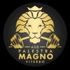 Logo Palestra Magno