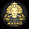 Logo Palestra Magno
