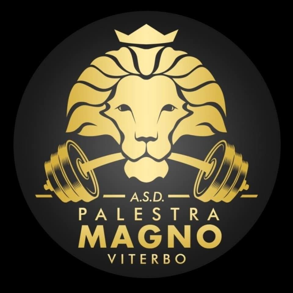 Logo Palestra Magno