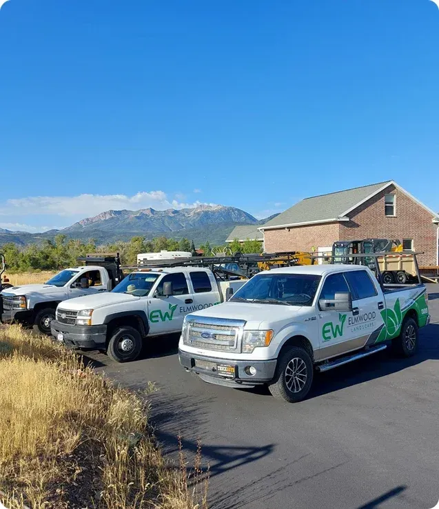  elmwood landscape story