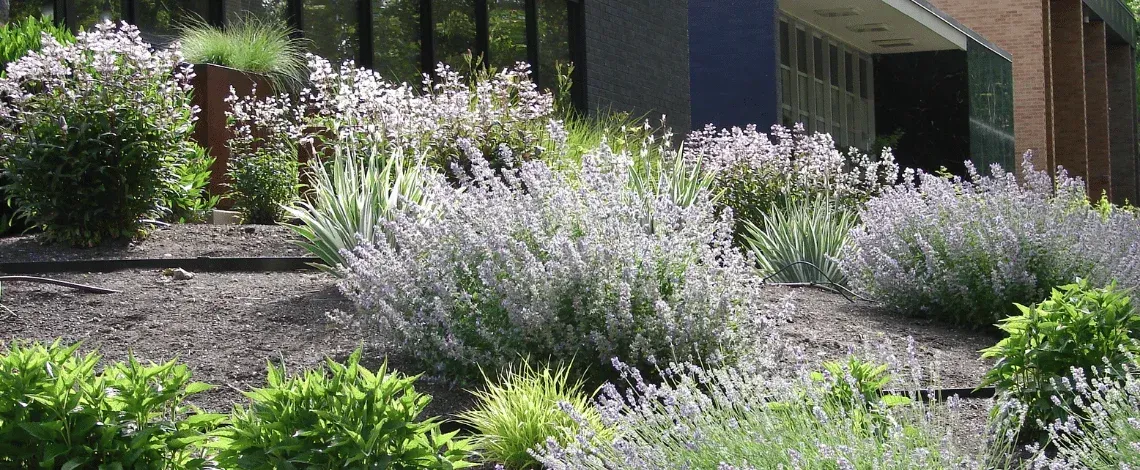Xeriscaping in Northern Utah: The Water-Smart Landscaping Solution That Actually Looks Good (With Plants That Thrive in Ogden&rsquo;s Climate)