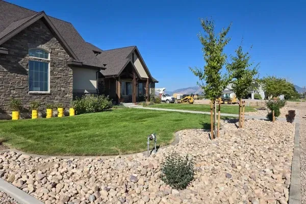 Tree installation and transplanting services in Ogden UT enhancing landscapes with healthy professionally placed trees