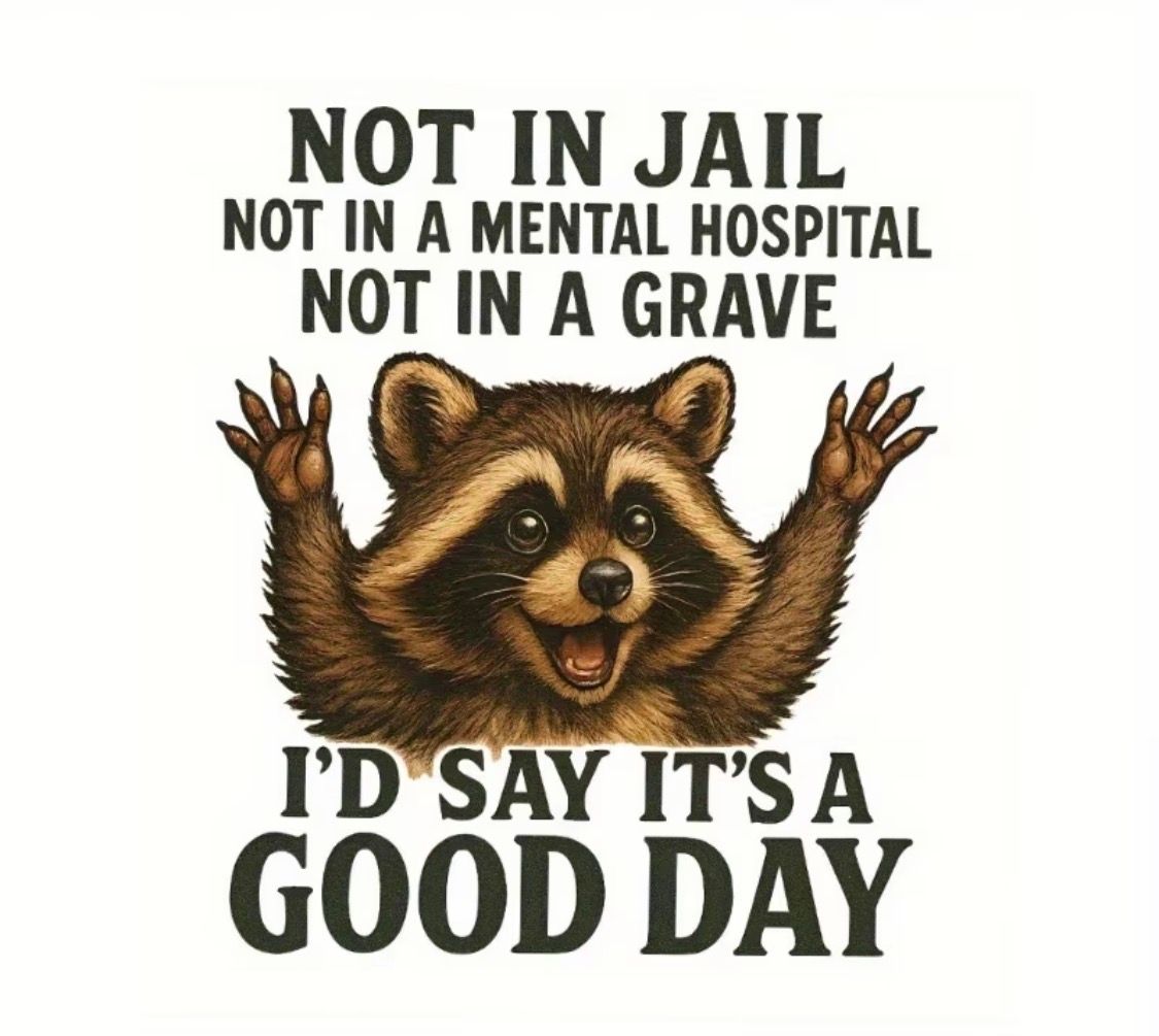 Raccoon with raised paws and text: “Not in jail, not in mental hospital, not in a grave, I'd say it's a good day.”
