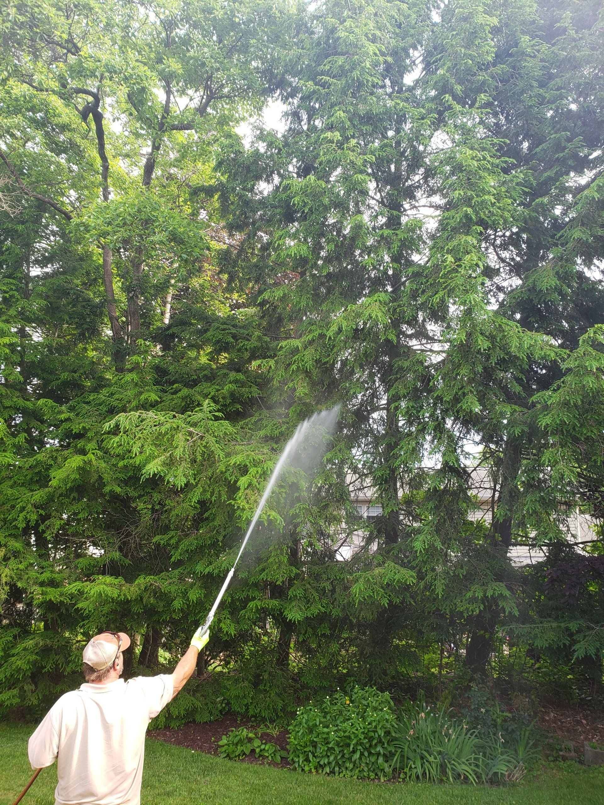 Tall Tree Treatment — Windsor, PA — Yorktowne Lawns Inc.