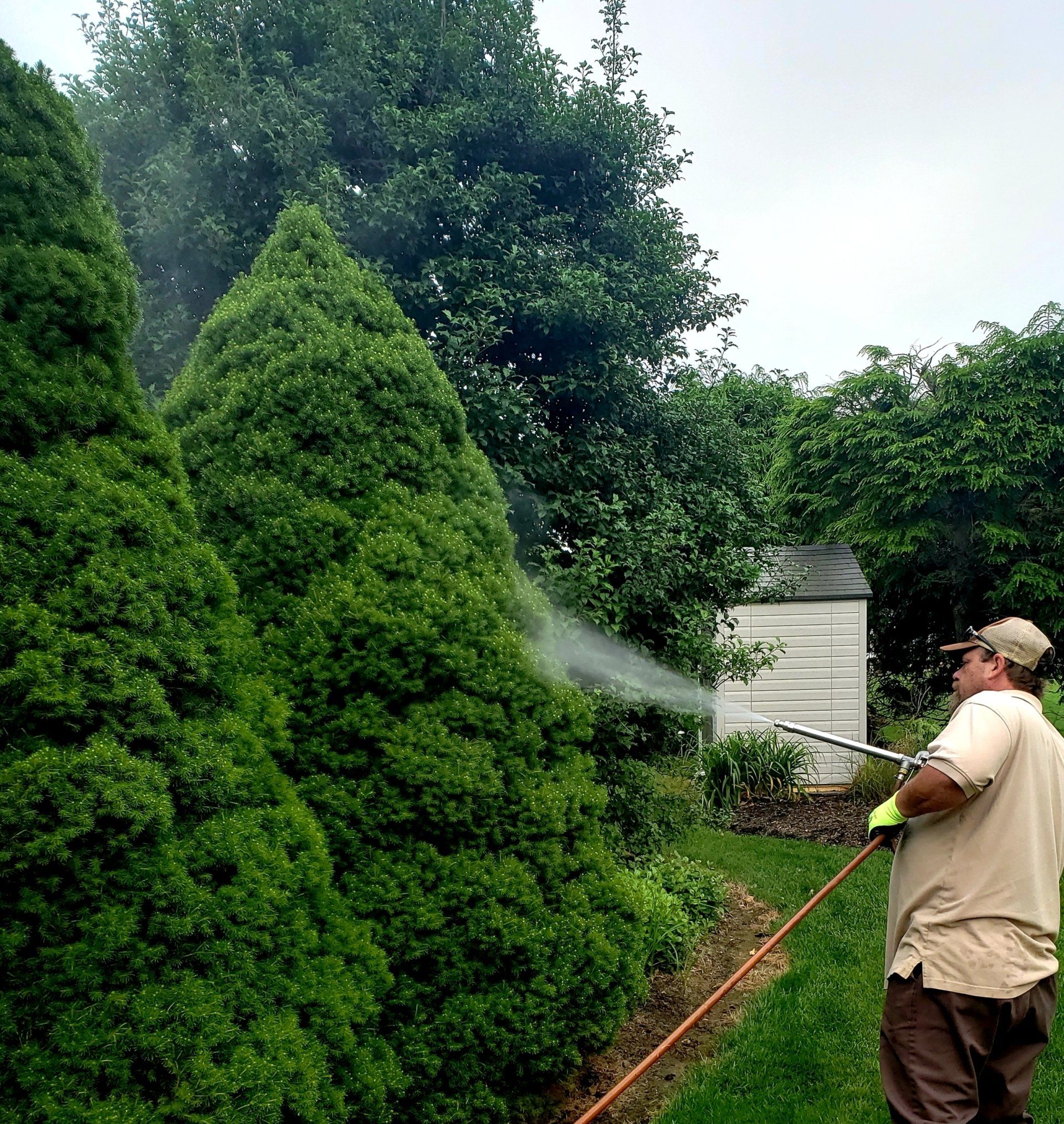 Shrub Treatment — Windsor, PA — Yorktowne Lawns Inc.