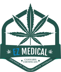 EZ Medical Logo