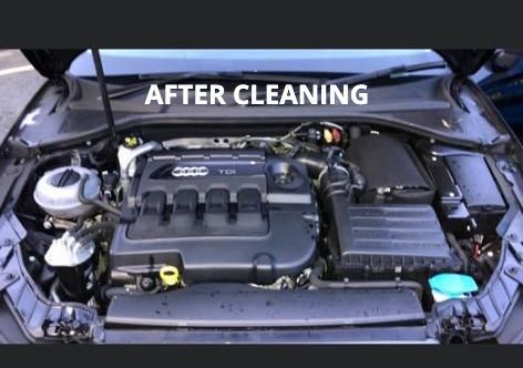 Engine Cleaning