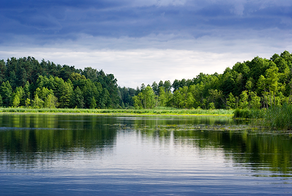 Lake — Medina County, OH — Laribee & Hertrick, LLP Lake — Medina County, OH — Laribee & Hertrick, LLP