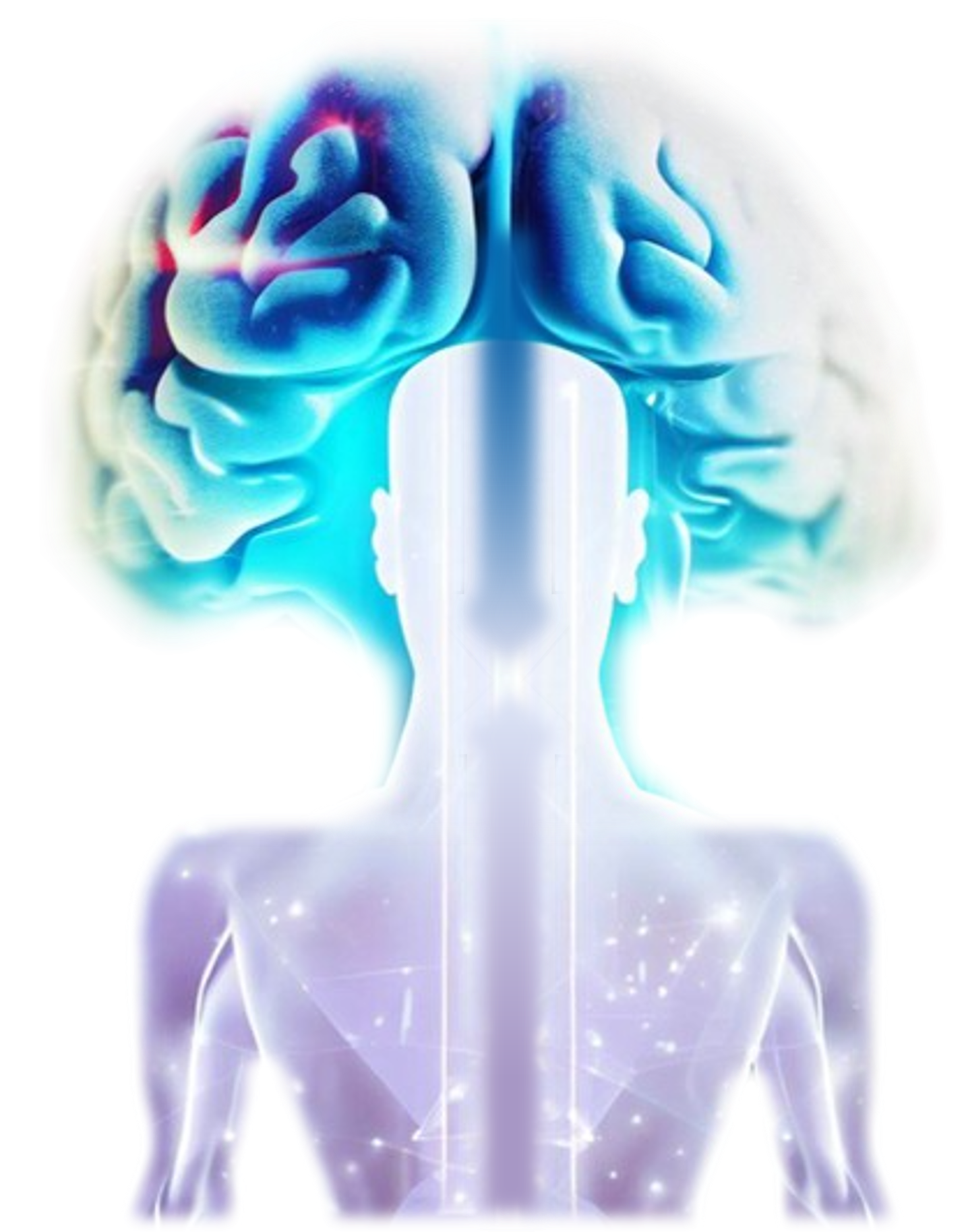 Mindfulness_efficacia