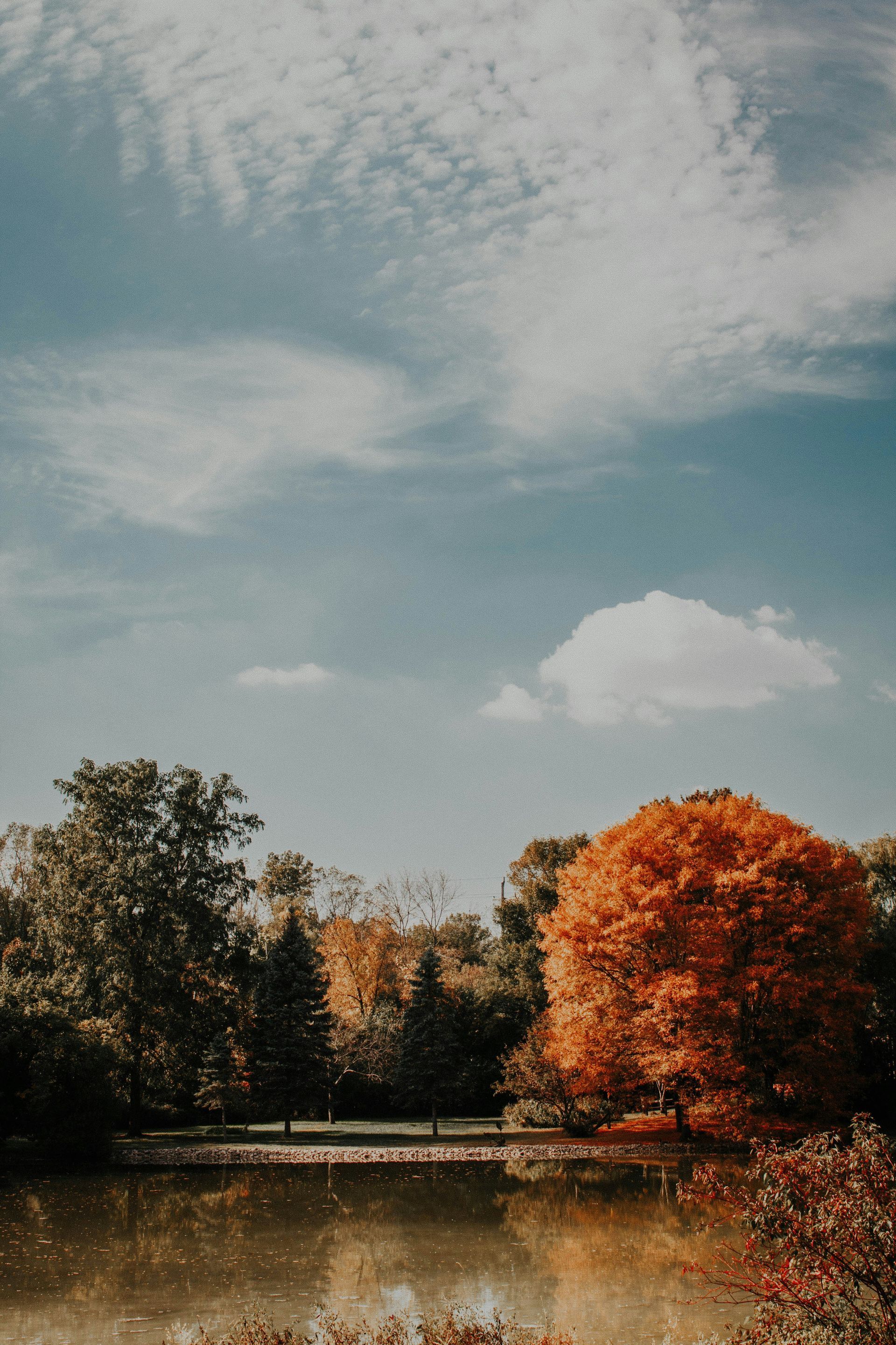 Wisconsin Fall Scene. Photo by Corinne Kutz on Unsplash