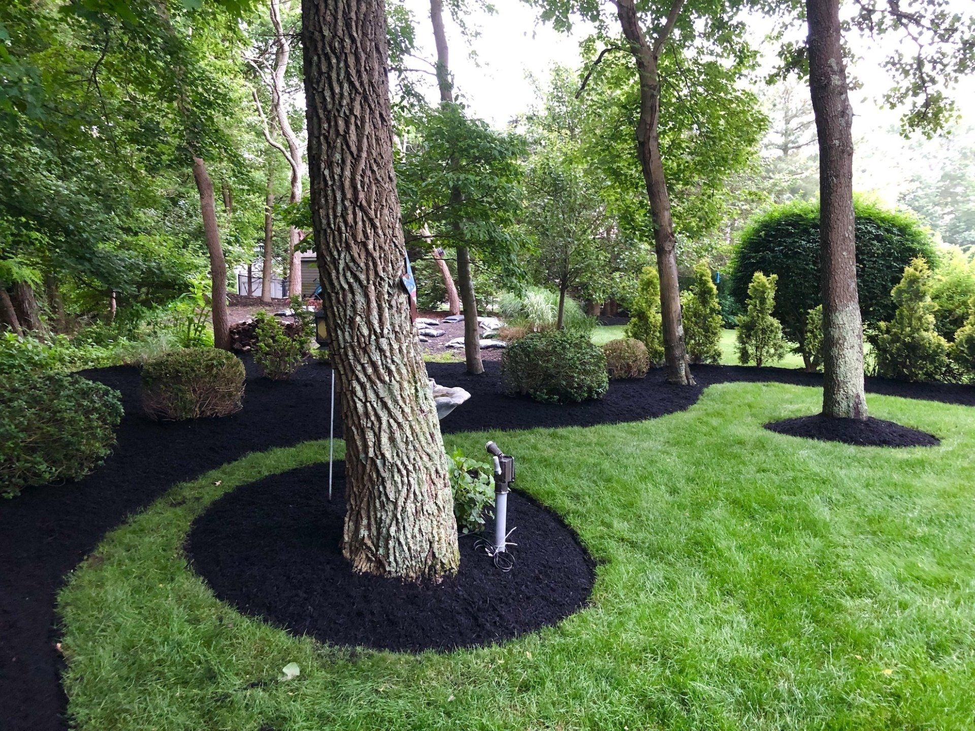 Mulch Installation