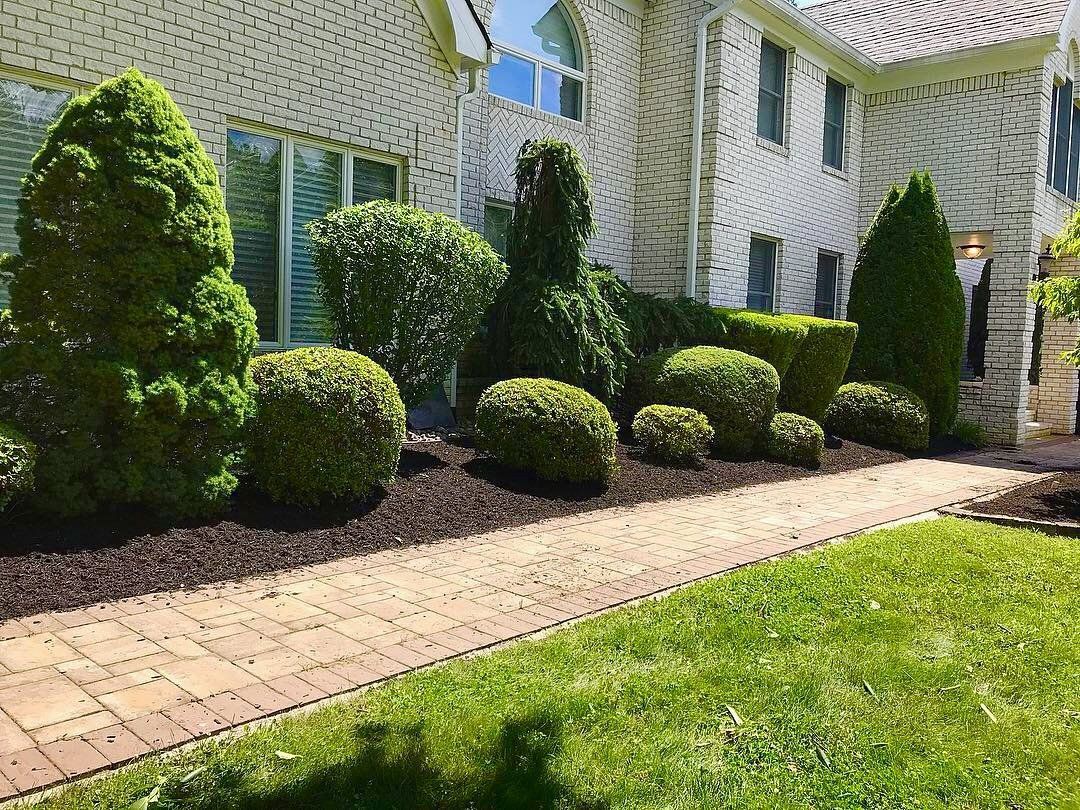 Landscape Maintenance