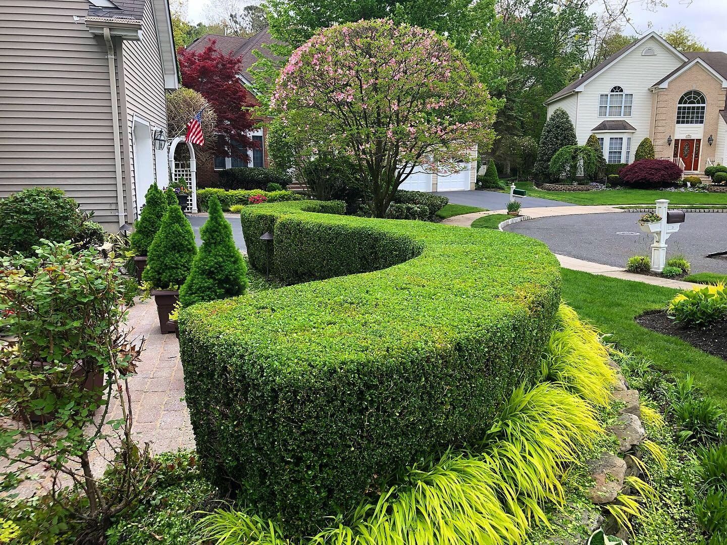 Hedge Trimming