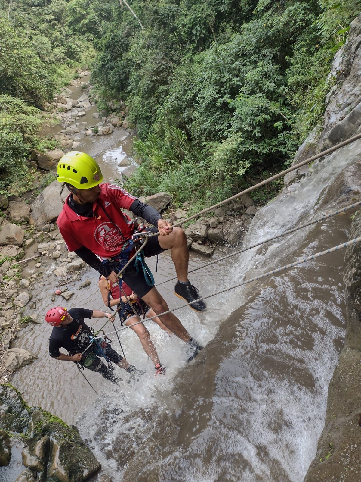 Zona de estar al aire libre con sofás, mesa de centro y una gran planta en maceta. Suelo de baldosas de ladrillo
