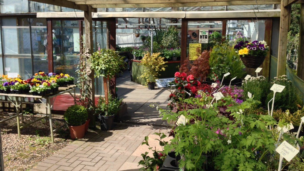 Bents Green Nurseries Perennials Sheffield