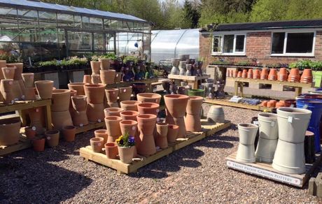 Pots for planting in Sheffield