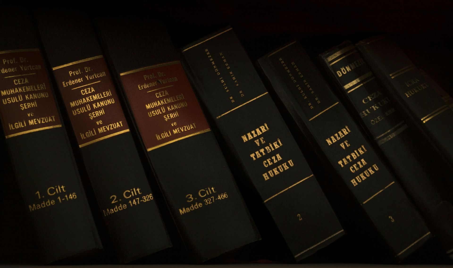 Row of dark leather-bound books with gold lettering on a shelf