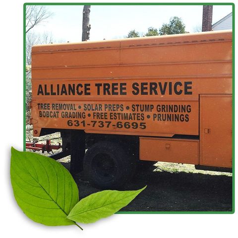 About | Alliance Tree Service - 631-737-6695