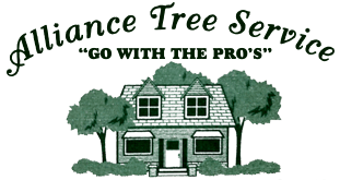 Alliance Tree Service | Suffolk County - 631-737-6695