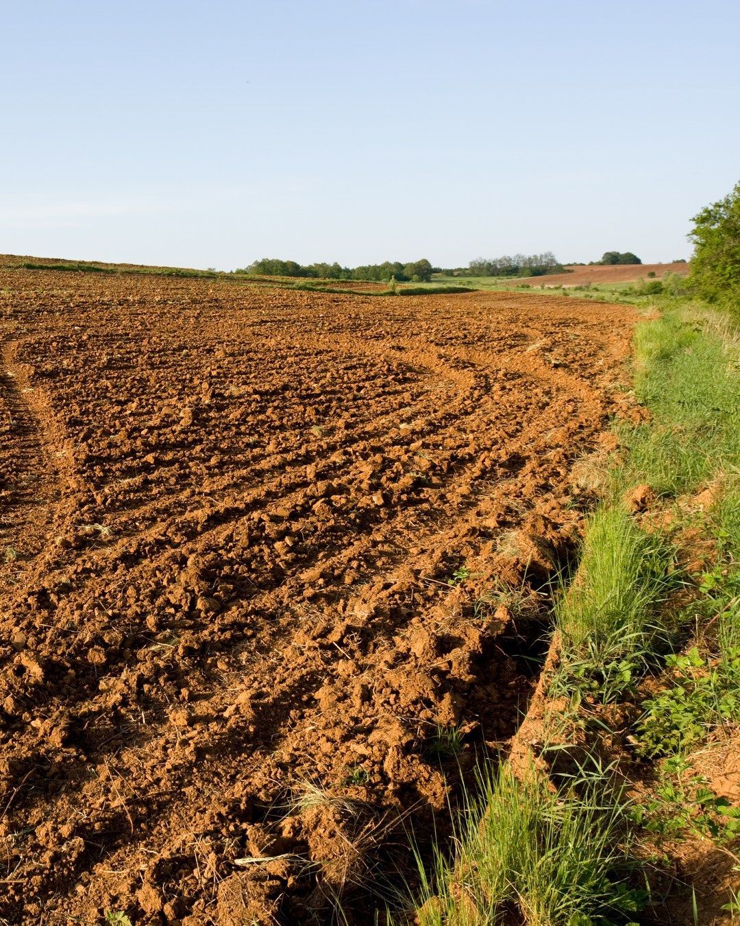 Plowed field of brown soil, under a blue sky, with a patch of green grass on the side.
