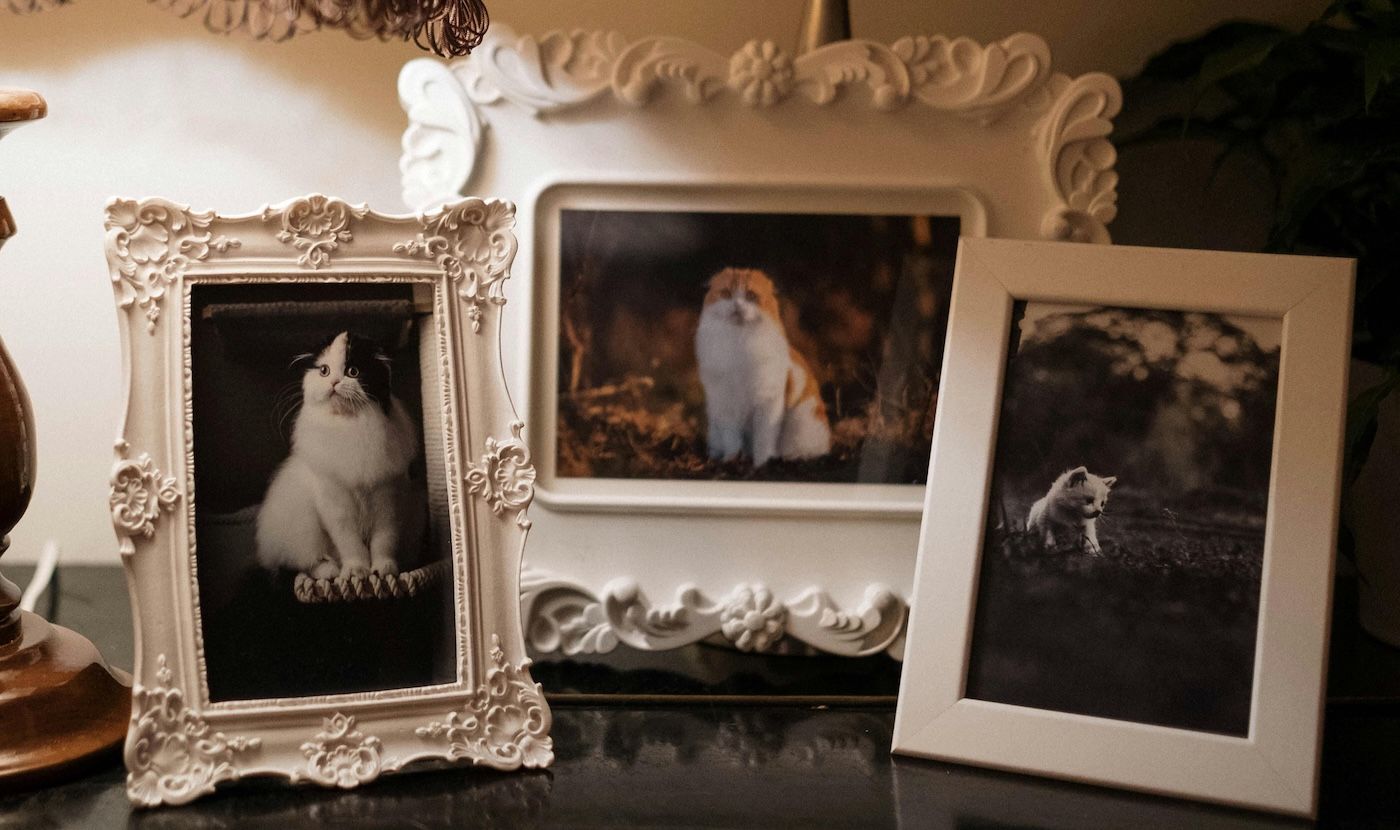 Two photo prints with portraits of childrens