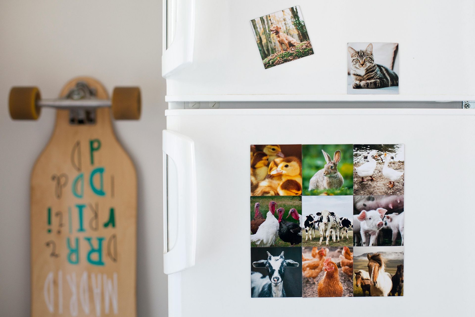 White refrigerator with animal magnets and a skateboard leaning against it.