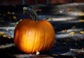 a person is holding a roll of film in their hand .