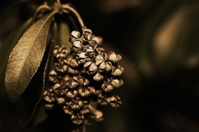 a person is holding a roll of film in their hand .