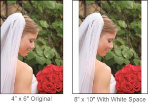 a person is holding a roll of film in their hand .