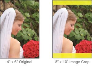 a person is holding a roll of film in their hand .