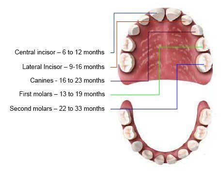 Lovely Kid in Dental Chair with Dentist — Palmdale, CA — Posada Dental Practice